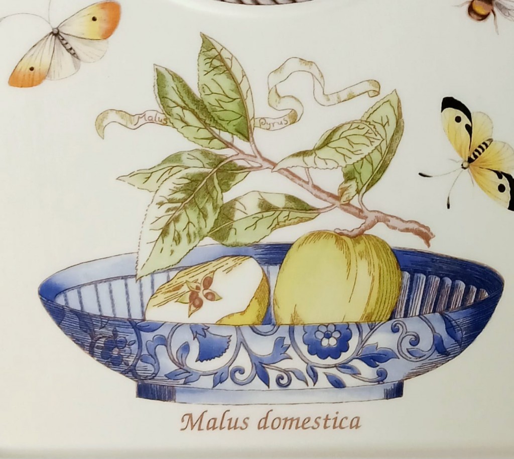 Nivag Crockery: Wedgwood - Sarah's Garden: Malus Domestica Wall Clock